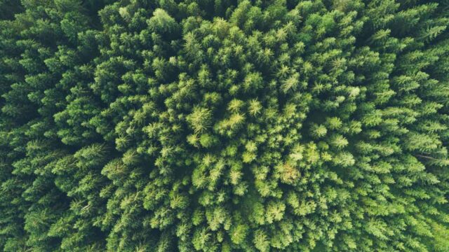 green packaging solutions