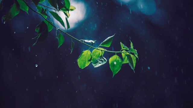 packaging automation environmental benefit