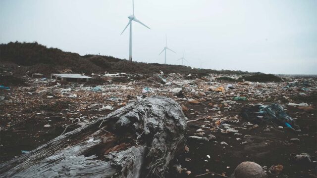 ditching plastic