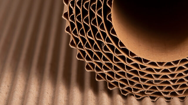Corrugated Board